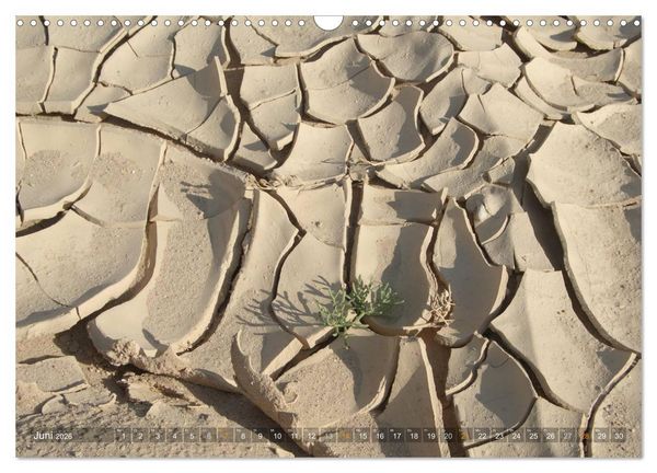 Produktbild: Impressionen Kameltrekking Sinai 2026 (Wandkalender 2026 DIN A3 quer), CALVENDO Monatskalender