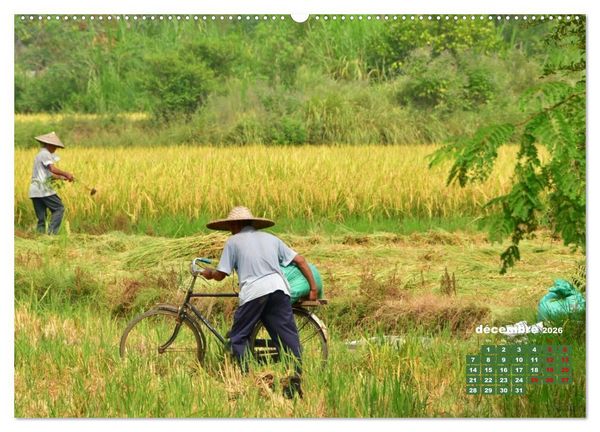 Produktbild: Riz de Chine (Calendrier mural 2026 DIN A2 vertical), CALVENDO calendrier mensuel