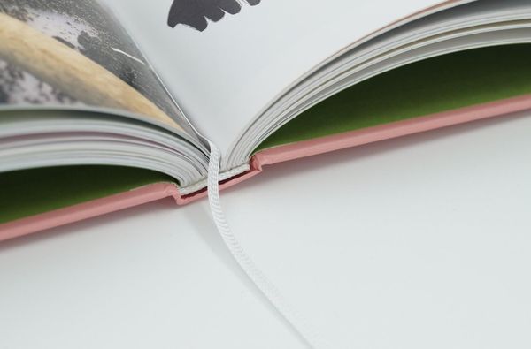 Produktbild: Hochbeet - Jetzt durchstarten!