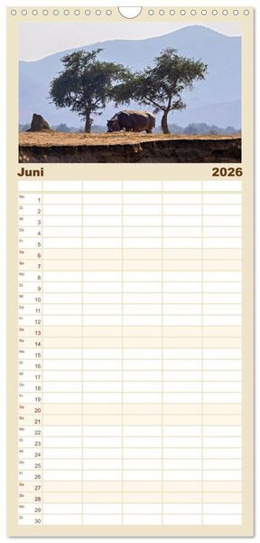 Produktbild: Familienplaner 2026 - Hippos - Gef&auml;hrliche Giganten mit 5 Spalten (Wandkalender, 21 x 45 cm) CALVENDO