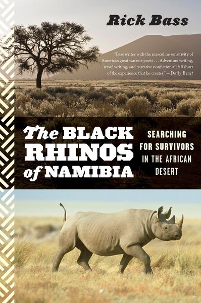 Produktbild: Black Rhinos of Namibia