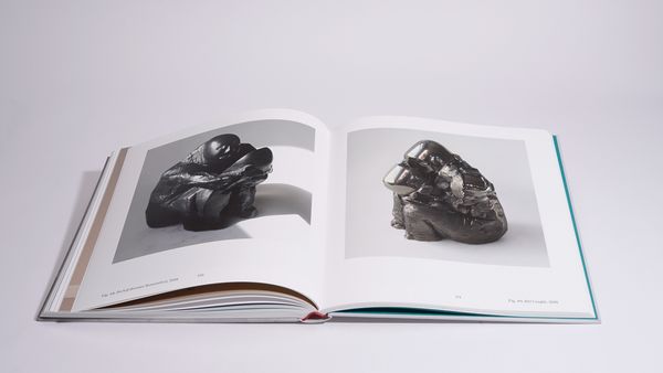 Produktbild: Ann Wolff &ndash; Observations and Reflections
