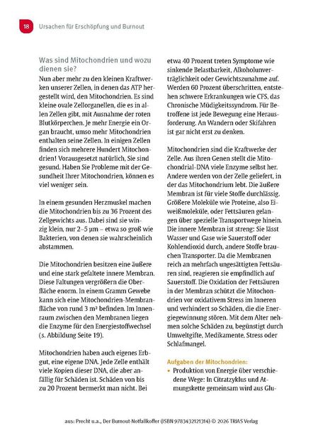 Produktbild: Der Burnout-Notfallkoffer