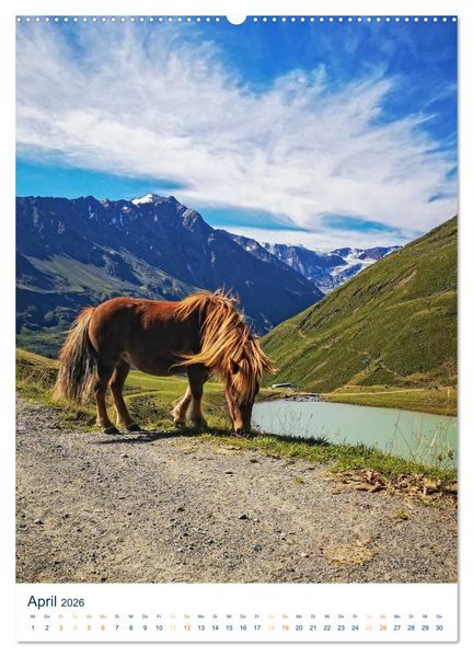 Produktbild: Sommer in &Ouml;sterreich - sonnige Tage in den Bergen (Wandkalender 2026 DIN A2 hoch), CALVENDO Monatskalender