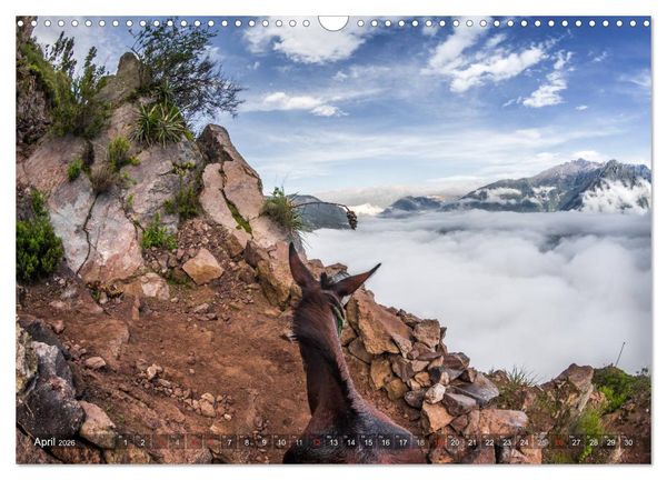 Produktbild: Peru und Bolivien - Traumlandschaften (Wandkalender 2026 DIN A3 quer), CALVENDO Monatskalender