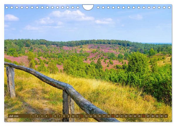 Produktbild: L&uuml;neburger Heide - Wanderung rund um Wilsede und Totengrund (Wandkalender 2026 DIN A4 quer), CALVENDO Monatskalender