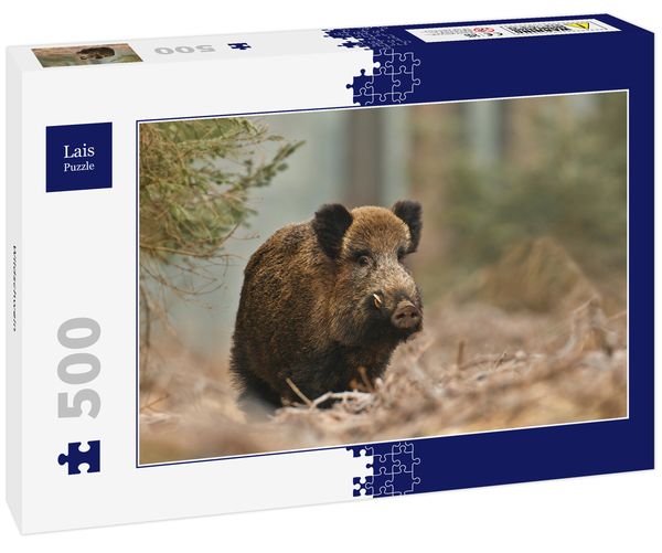 Lais Puzzle Wildschwein 500 Teile