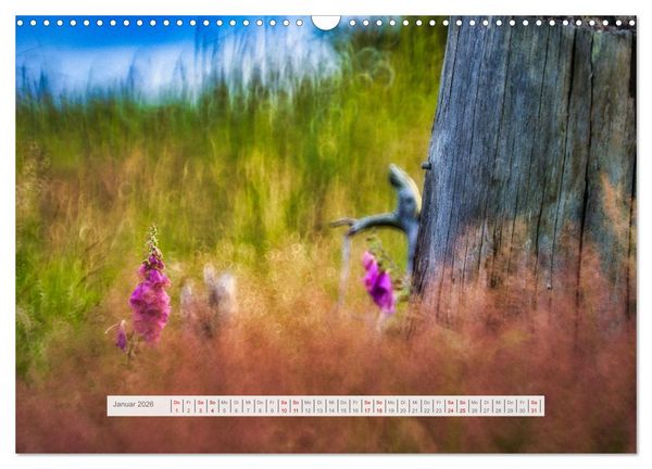 Produktbild: Traumhafte Waldstimmung am Rennsteig im Th&uuml;ringer Wald (Wandkalender 2026 DIN A3 quer), CALVENDO Monatskalender