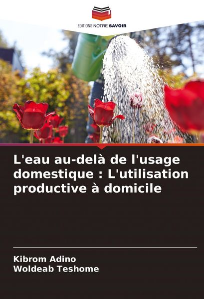 Produktbild: L'eau au-del&agrave; de l'usage domestique : L'utilisation productive &agrave; domicile