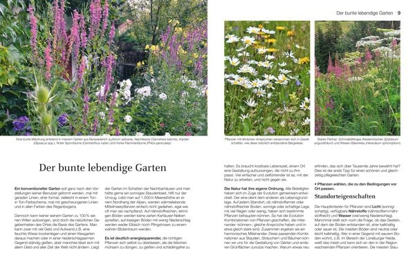 Produktbild: Welche Pflanze passt wohin im Naturgarten?