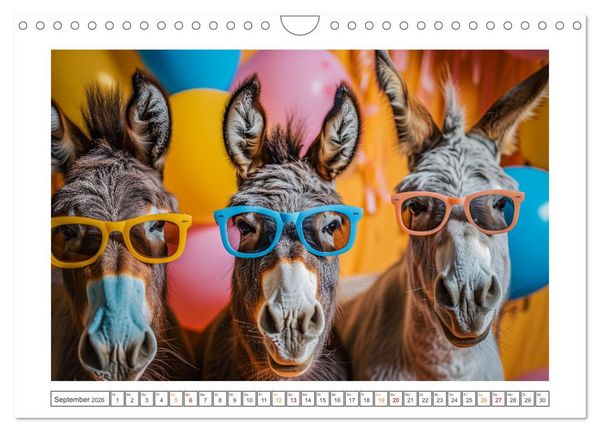 Produktbild: Lustige Eselgeschichten (Wandkalender 2026 DIN A4 quer), CALVENDO Monatskalender