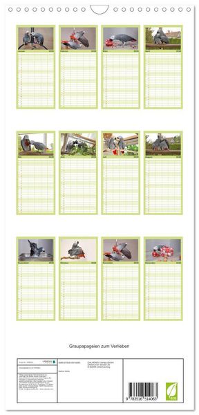 Produktbild: Familienplaner 2026 - Graupapageien zum Verlieben mit 5 Spalten (Wandkalender, 21 x 45 cm) CALVENDO