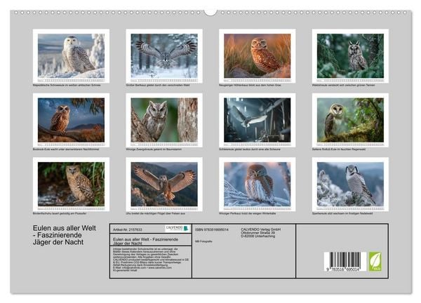Produktbild: Eulen aus aller Welt - Faszinierende J&auml;ger der Nacht (hochwertiger Premium Wandkalender 2026 DIN A2 quer), Kunstdruck in Hochglanz