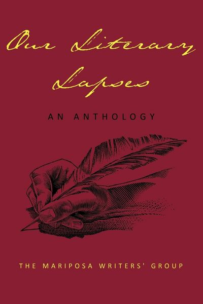 Produktbild: Our Literary Lapses