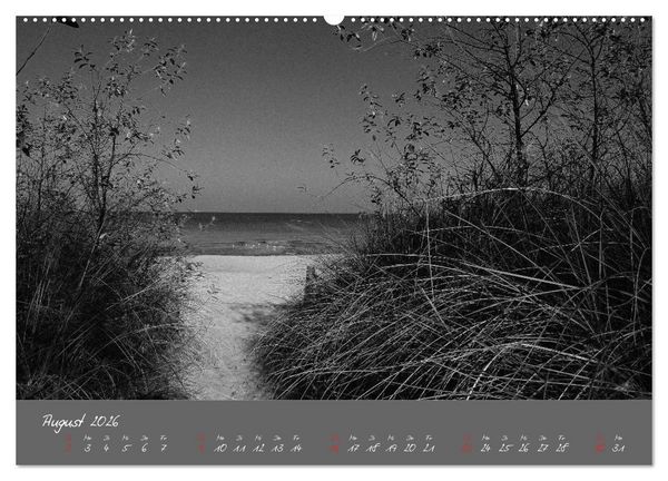 Produktbild: Wege zum Meer (Wandkalender 2026 DIN A2 quer), CALVENDO Monatskalender