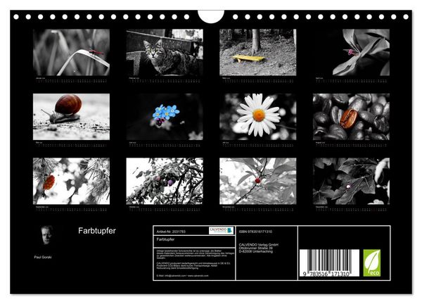 Produktbild: Farbtupfer (Wandkalender 2026 DIN A4 quer), CALVENDO Monatskalender