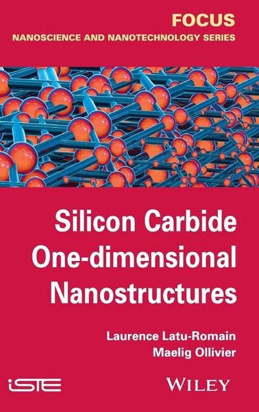 Produktbild: Silicon Carbide One-Dimensional Nanostructures