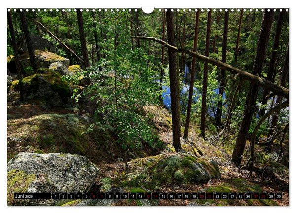 Produktbild: Tiveden, der NatURWALD in Schweden (Wandkalender 2026 DIN A3 quer), CALVENDO Monatskalender