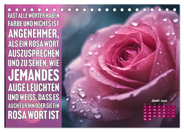 Produktbild: Lieblingsfarbe Rosa - mit coolen Spr&uuml;chen (Tischkalender 2026 DIN A5 quer), CALVENDO Monatskalender