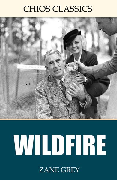 Produktbild: Wildfire