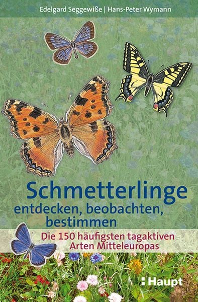 Produktbild: Schmetterlinge entdecken, beobachten, bestimmen