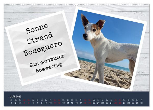 Produktbild: Ratonero Bodeguero Andaluz (Wandkalender 2026 DIN A2 quer), CALVENDO Monatskalender