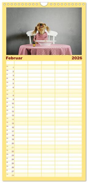 Produktbild: Familienplaner 2026 - DACKELmix Elli Pirelli mit 5 Spalten (Wandkalender, 21 x 45 cm) CALVENDO