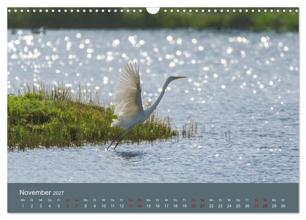 Produktbild: Reiher in der Elbmarsch (Wandkalender 2027 DIN A3 quer), CALVENDO Monatskalender