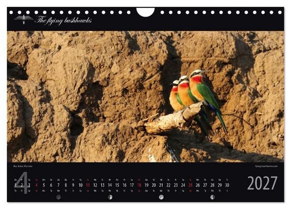 Produktbild: Botswana Blickwinkel 2027 (Wandkalender 2027 DIN A4 quer), CALVENDO Monatskalender