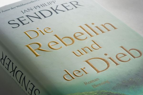 Produktbild: Die Rebellin und der Dieb