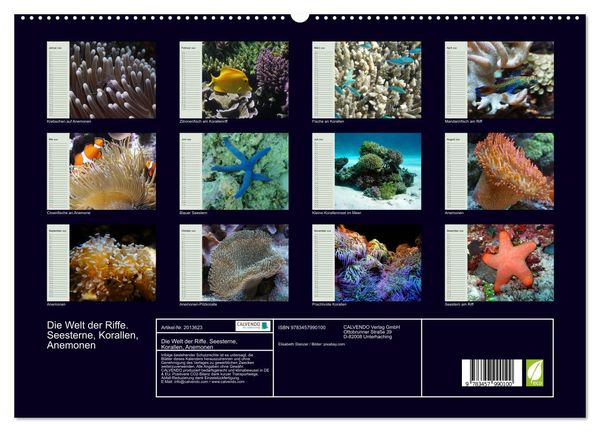 Produktbild: Die Welt der Riffe. Seesterne, Korallen, Anemonen (hochwertiger Premium Wandkalender 2026 DIN A2 quer), Kunstdruck in Hochglanz