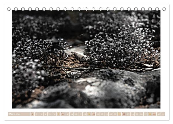 Produktbild: Sardinien Impressionen (Tischkalender 2026 DIN A5 quer), CALVENDO Monatskalender
