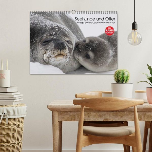 Produktbild: Seehunde und Otter. Putzige Gesellen, perfekte Schwimmer (Wandkalender 2026 DIN A3 quer), CALVENDO Monatskalender