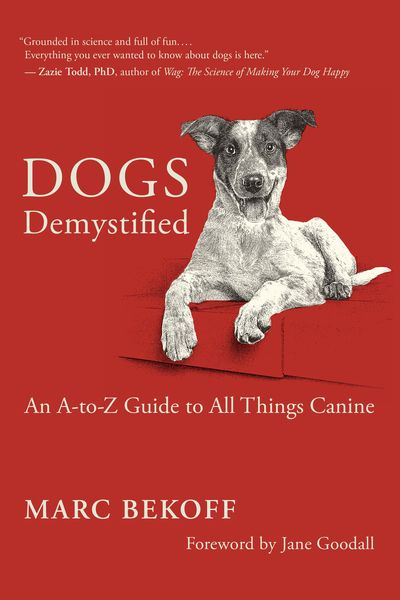 Produktbild: Dogs Demystified