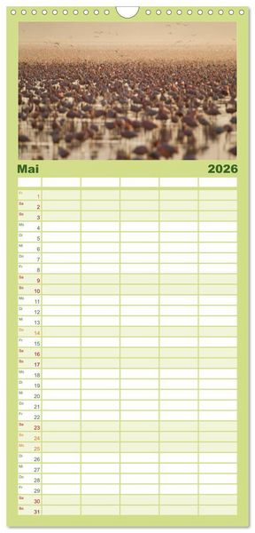 Produktbild: Familienplaner 2026 - Emotionale Momente: Afrika Wildlife. Part 3. mit 5 Spalten (Wandkalender, 21 x 45 cm) CALVENDO