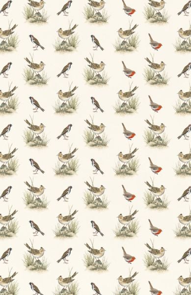 Produktbild: Vom Gl&uuml;ck des Vogelgesangs