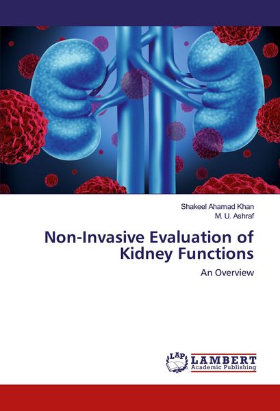 Produktbild: Non-Invasive Evaluation of Kidney Functions