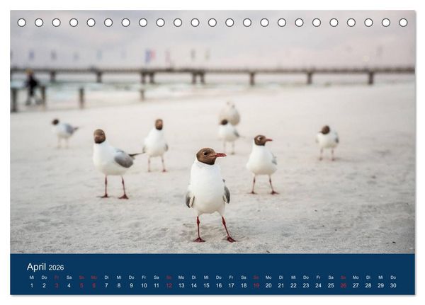 Produktbild: Ostseezauber (Tischkalender 2026 DIN A5 quer), CALVENDO Monatskalender