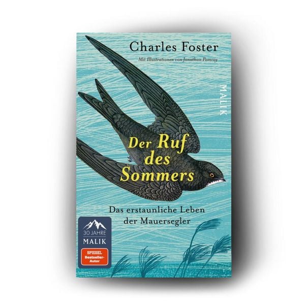 Produktbild: Der Ruf des Sommers