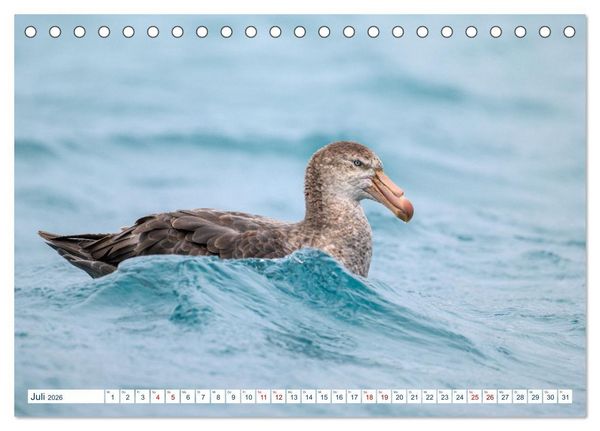Produktbild: S&uuml;dgeorgien - Abgelegenes Naturparadies (Tischkalender 2026 DIN A5 quer), CALVENDO Monatskalender