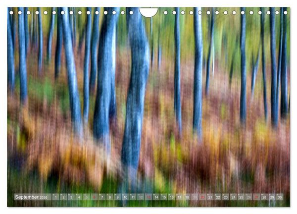 Produktbild: Atelier Wald - gemalt mit Licht (Wandkalender 2026 DIN A4 quer), CALVENDO Monatskalender