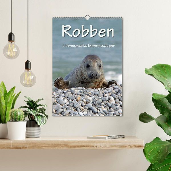 Produktbild: Robben (Wandkalender 2026 DIN A3 hoch), CALVENDO Monatskalender