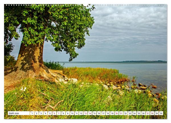Produktbild: Naturparadies Zierow - Ostsee Idylle pur in der Wismarer Bucht (hochwertiger Premium Wandkalender 2026 DIN A2 quer), Kunstdruck in Hochglanz