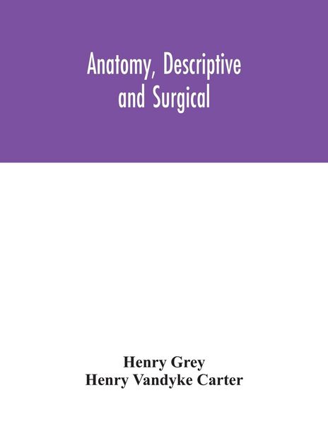 Produktbild: Anatomy, Descriptive and Surgical