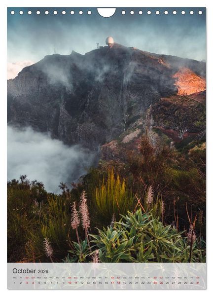 Produktbild: The Flower Island Madeira (Wall Calendar 2026 DIN A4 portrait), CALVENDO 12 Month Wall Calendar
