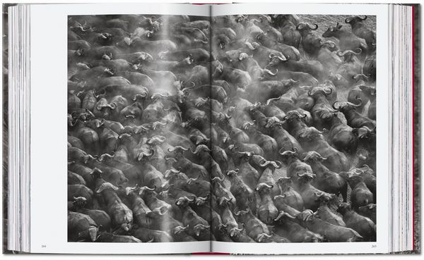 Produktbild: Sebasti&atilde;o Salgado