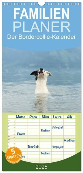 Familienplaner 2026 - Der Bordercollie-Kalender mit 5 Spalten (Wandkalender, 21 x 45 cm) CALVENDO