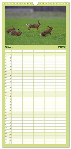 Produktbild: Familienplaner 2026 - Feldhasen in H&ouml;chstform mit 5 Spalten (Wandkalender, 21 x 45 cm) CALVENDO