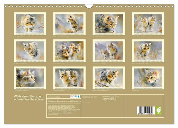 Produktbild: Wildkatzen. Europas scheue Waldbewohner (Wandkalender 2027 DIN A3 quer), CALVENDO Monatskalender