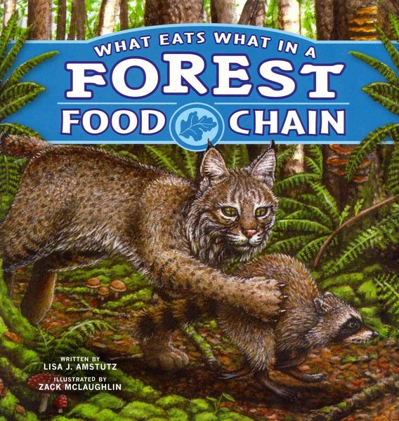 Produktbild: What Eats What in a Forest Food Chain